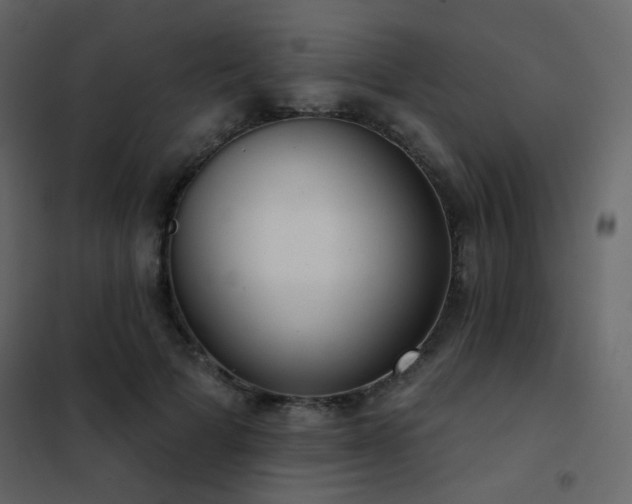X0000102530697200808081452