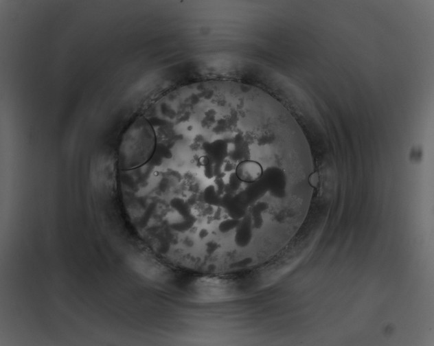 X0000102530699200808081452
