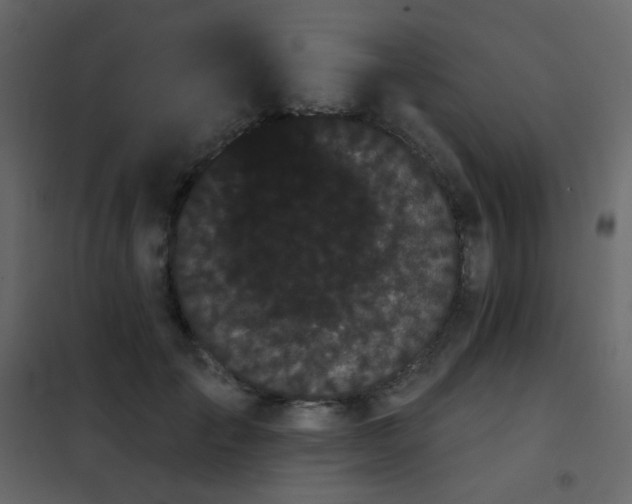 X0000102530701200808081452