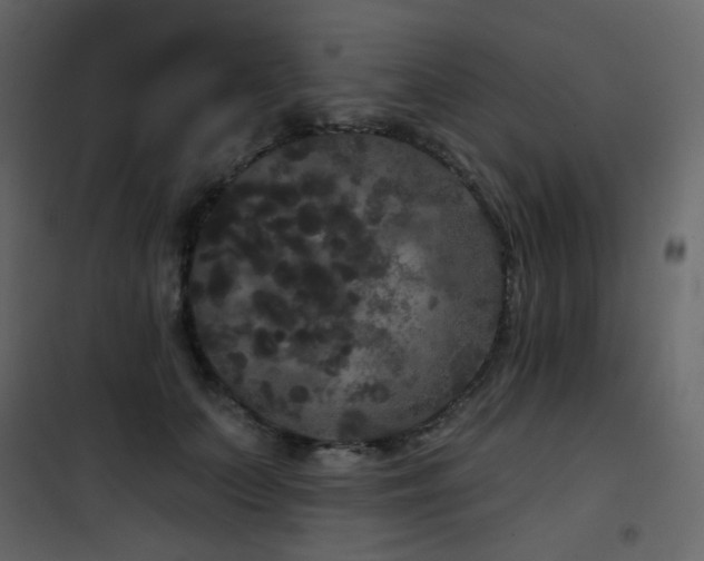 X0000102530703200808081452