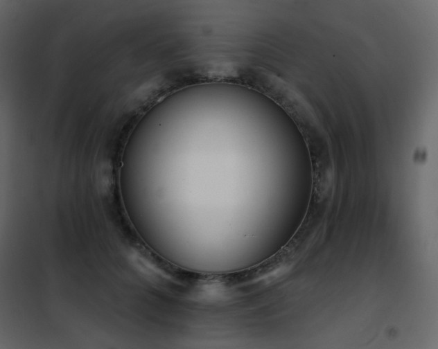 X0000102530704200808081452