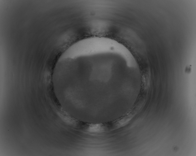 X0000102530705200808081452