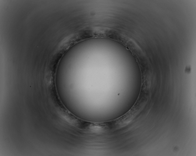 X0000102530706200808081452