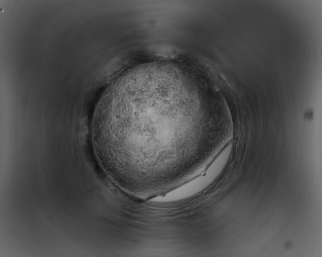 X0000102530707200808081452