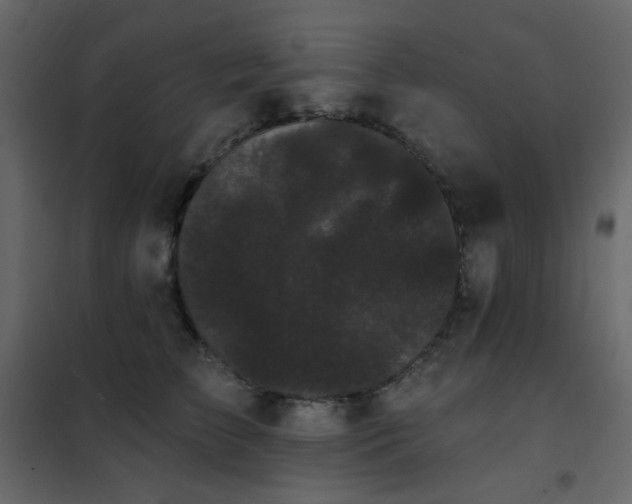 X0000102530709200808081452