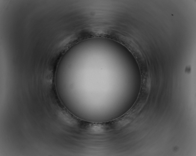 X0000102530710200808081452