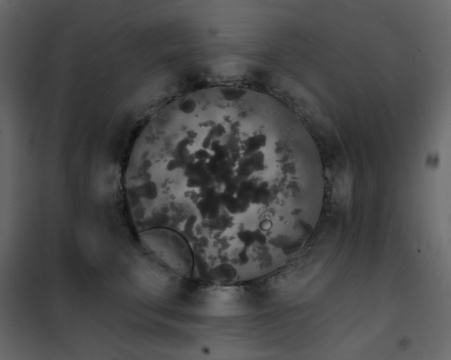 X0000102530711200808081452