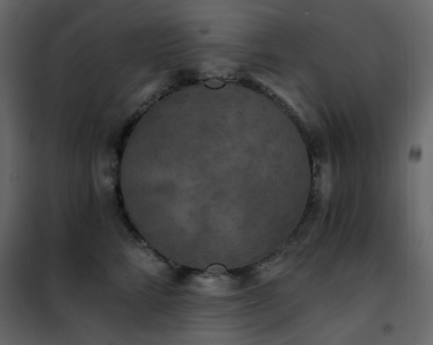 X0000102530712200808081452