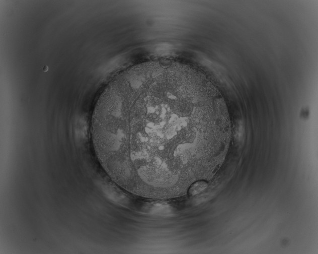 X0000102530715200808081452