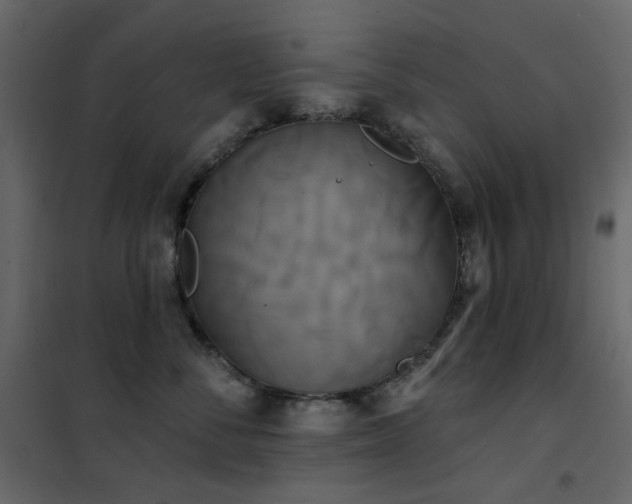 X0000102530716200808081452