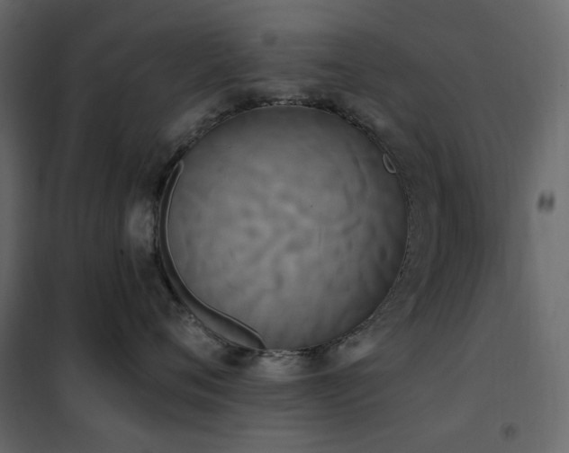 X0000102530720200808081452