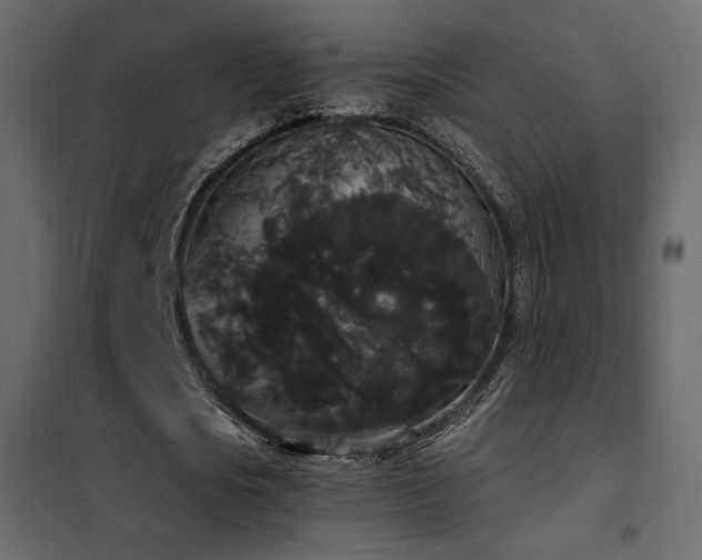X0000102530721200808081451