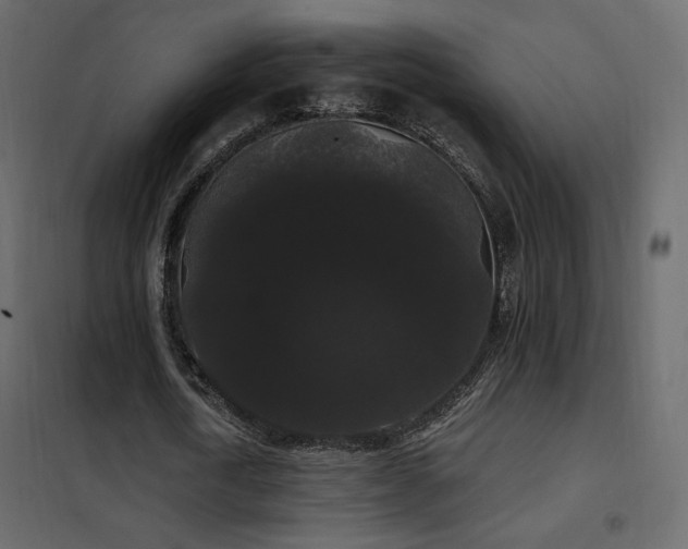 X0000102530722200808081451