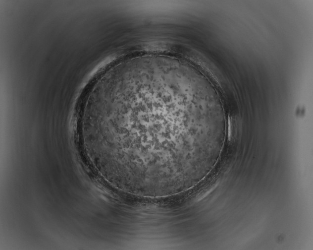 X0000102530723200808081451