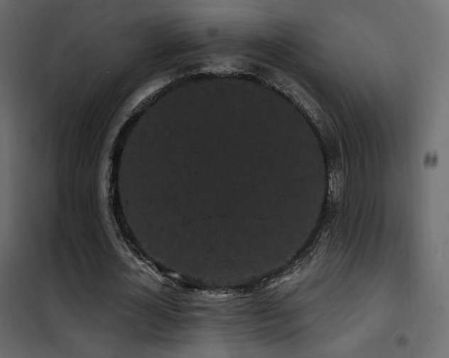 X0000102530724200808081451
