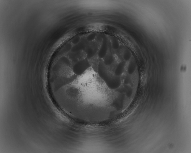 X0000102530725200808081451