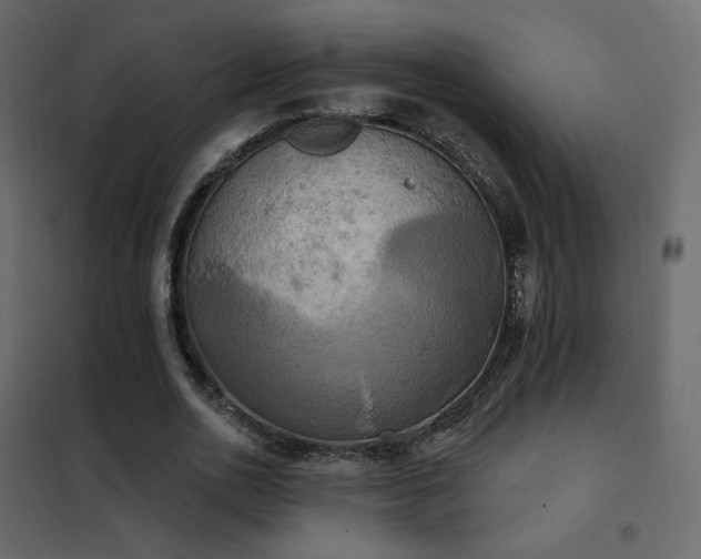X0000102530726200808081451