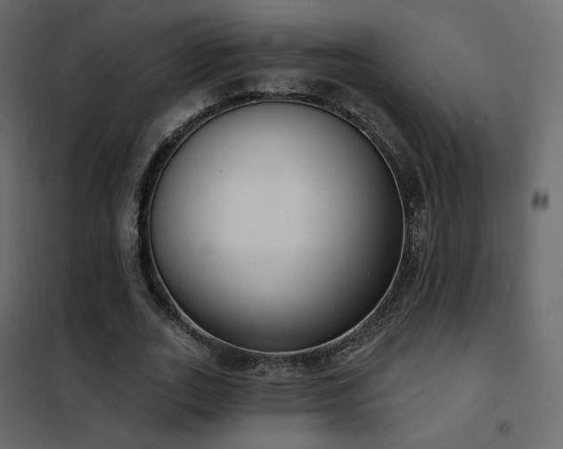 X0000102530727200808081451