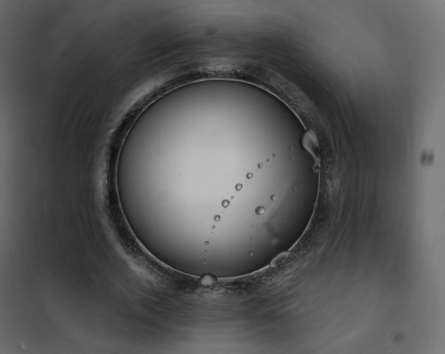 X0000102530728200808081451