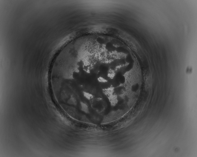 X0000102530729200808081451