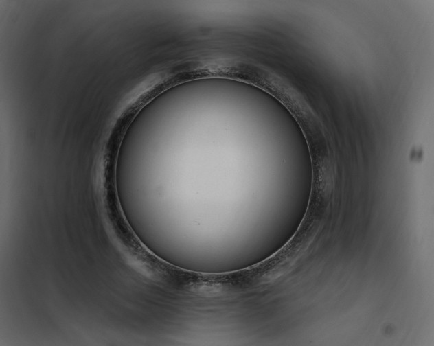 X0000102530730200808081451