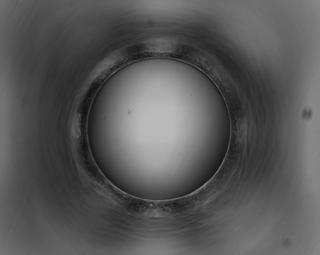 X0000102530731200808081451