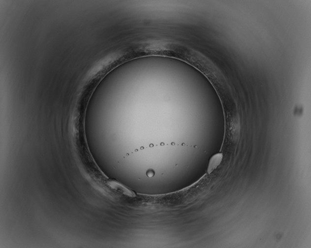 X0000102530732200808081451