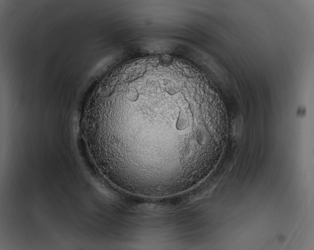 X0000102530733200808081451