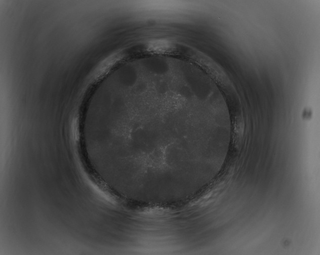 X0000102530734200808081451