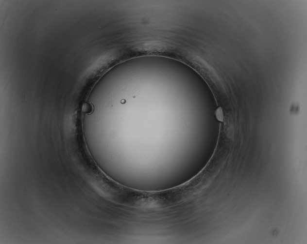 X0000102530735200808081451