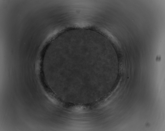 X0000102530736200808081451