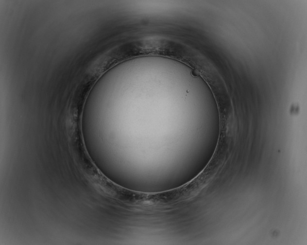 X0000102530737200808081451