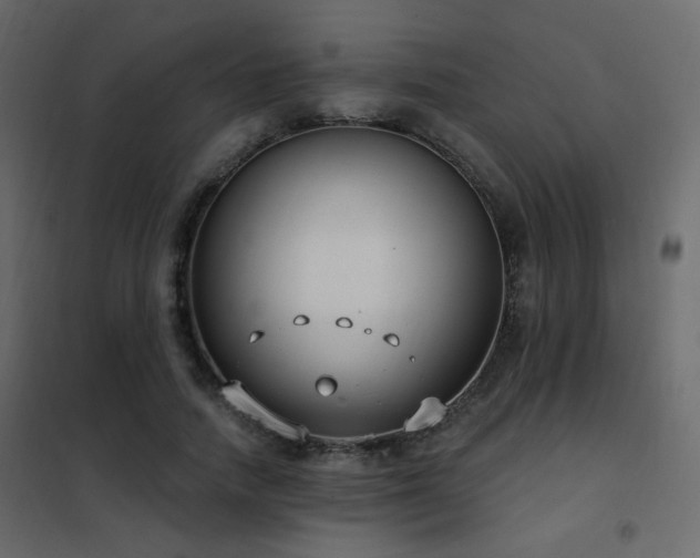 X0000102530738200808081451