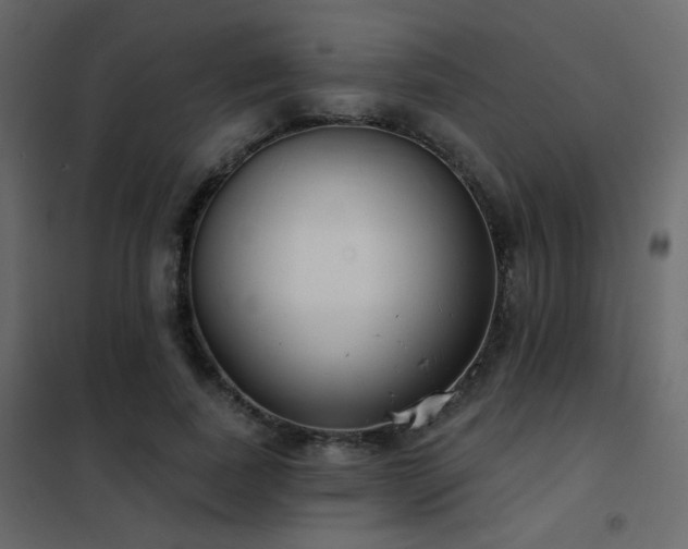 X0000102530739200808081451