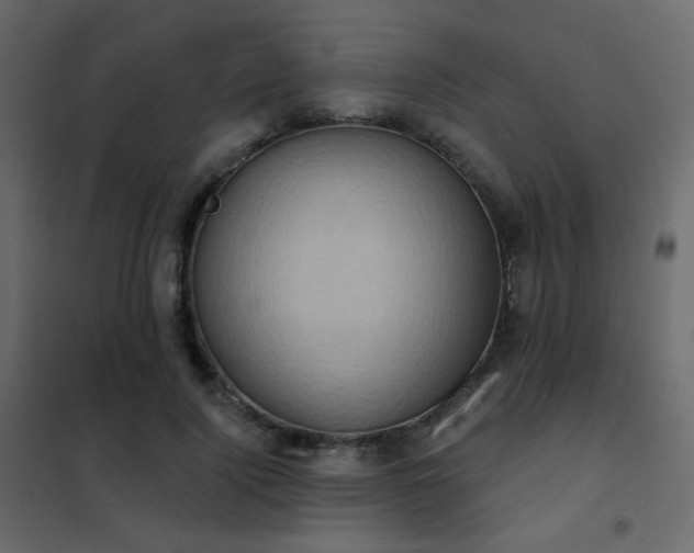 X0000102530740200808081451