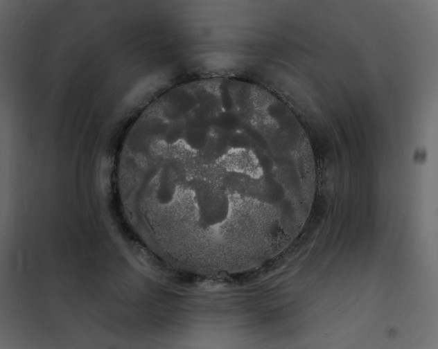 X0000102530742200808081451