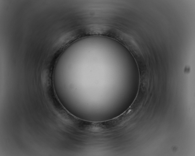 X0000102530743200808081451