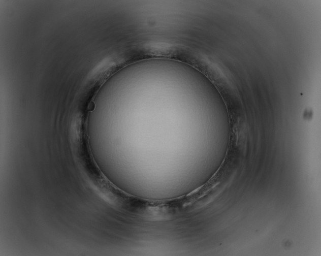X0000102530744200808081451