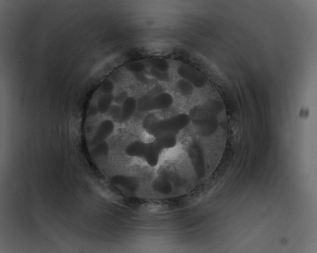 X0000102530745200808081451