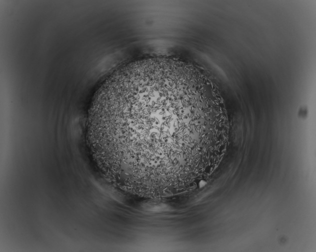 X0000102530747200808081451