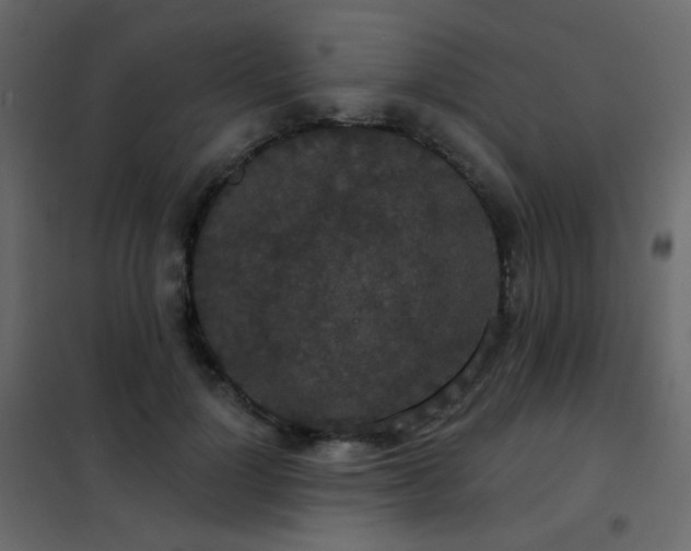 X0000102530748200808081451