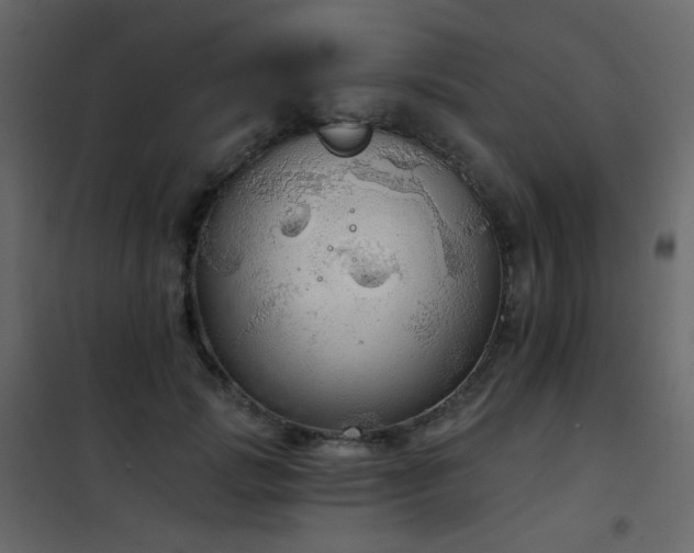 X0000102530749200808081451
