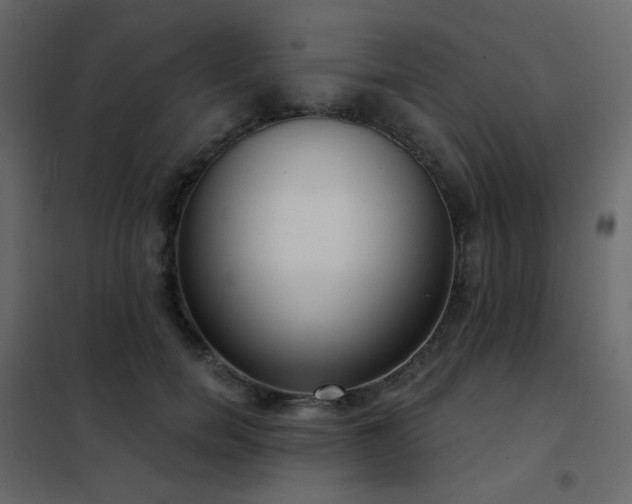 X0000102530750200808081451