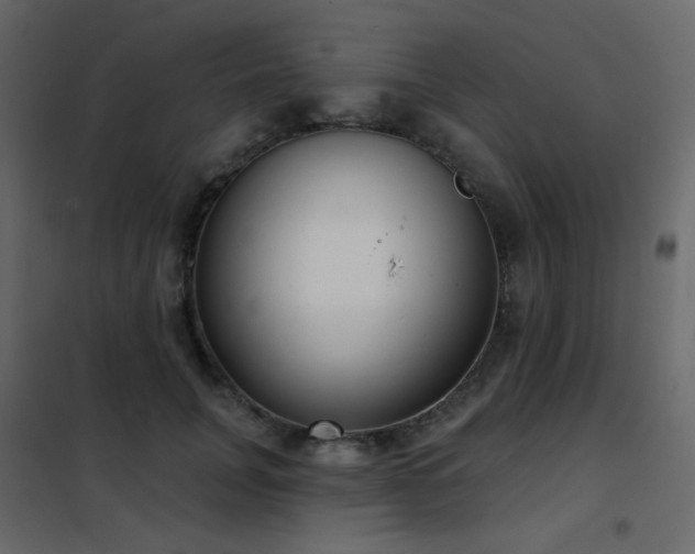 X0000102530751200808081451