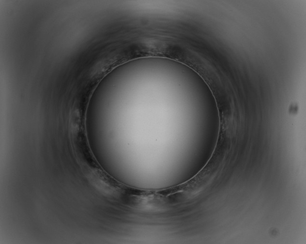 X0000102530752200808081451