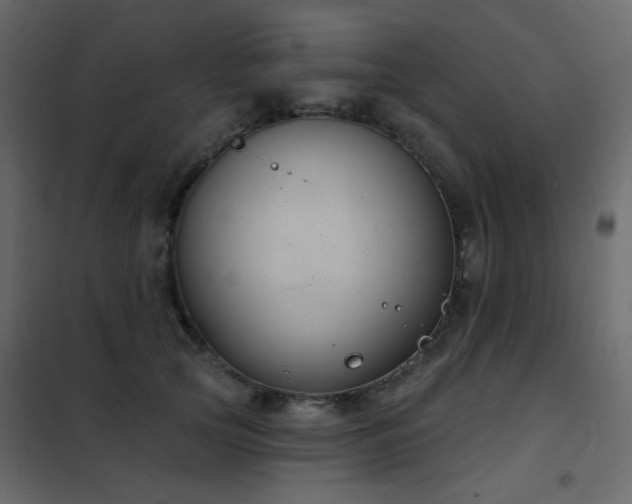 X0000102530753200808081451