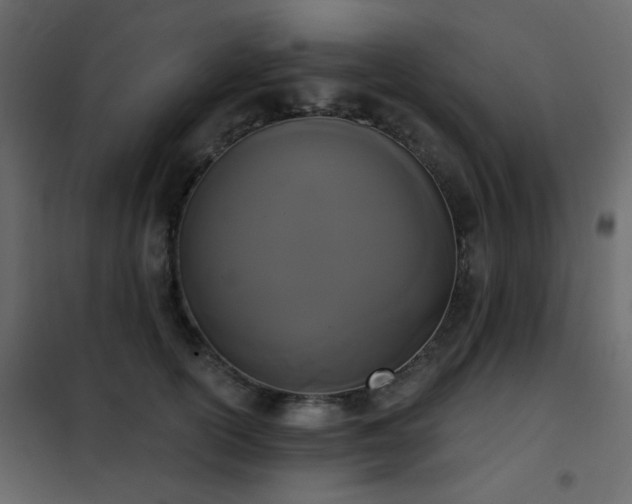 X0000102530754200808081451