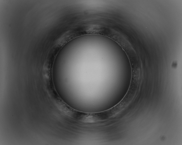 X0000102530755200808081451