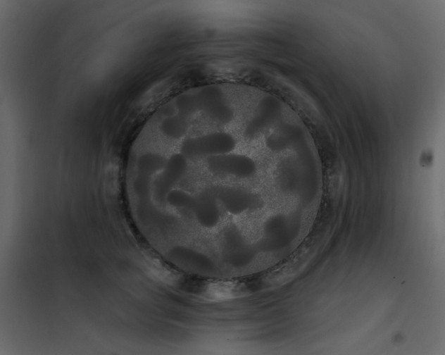 X0000102530757200808081451