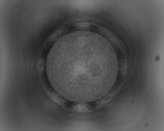 X0000102530758200808081451